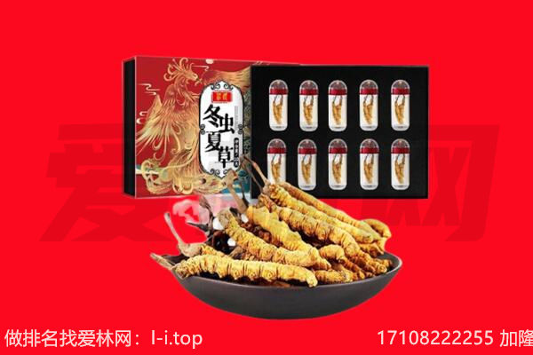 重庆市大渡口回收虫草.jpg
